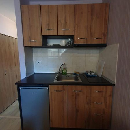 Mechka Ski Apartment バンスコ エクステリア 写真