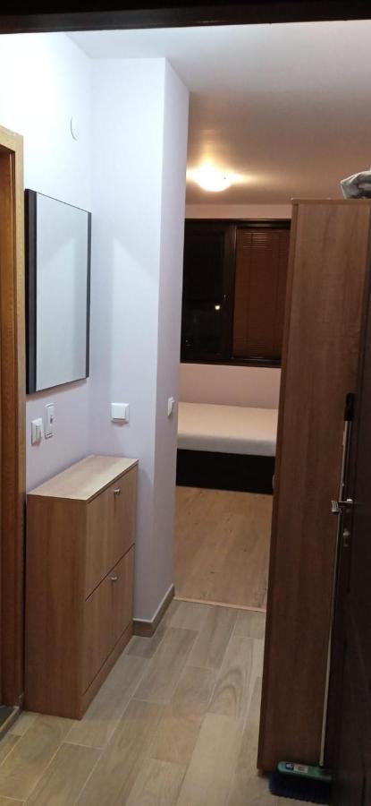 Mechka Ski Apartment バンスコ エクステリア 写真